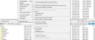Aktivatsiya Q Dir 6.98.1 Portable.webp