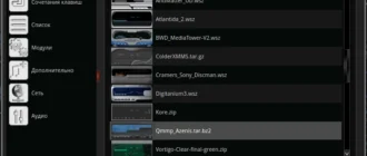 Aktivatsiya Qmmp 0.9.1.webp