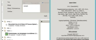 Aktivatsiya Quod Libet 3.9.1 Portable.webp