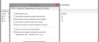 Aktivatsiya Renamer Pro 6.6 Portable.webp