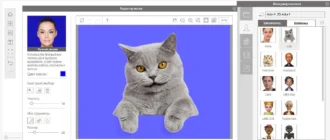 Aktivatsiya Reallusion Crazytalk Pipeline 8.03.1620.1 Resource Pack.webp