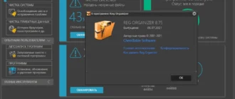 Aktivatsiya Reg Organizer 8.91 Portable.webp