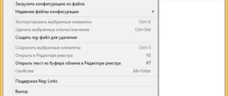 Aktivatsiya Regscanner 2.16 Portable.webp