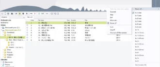 Aktivatsiya Resonic Player 0.9.3b Build 1806 Portable.webp