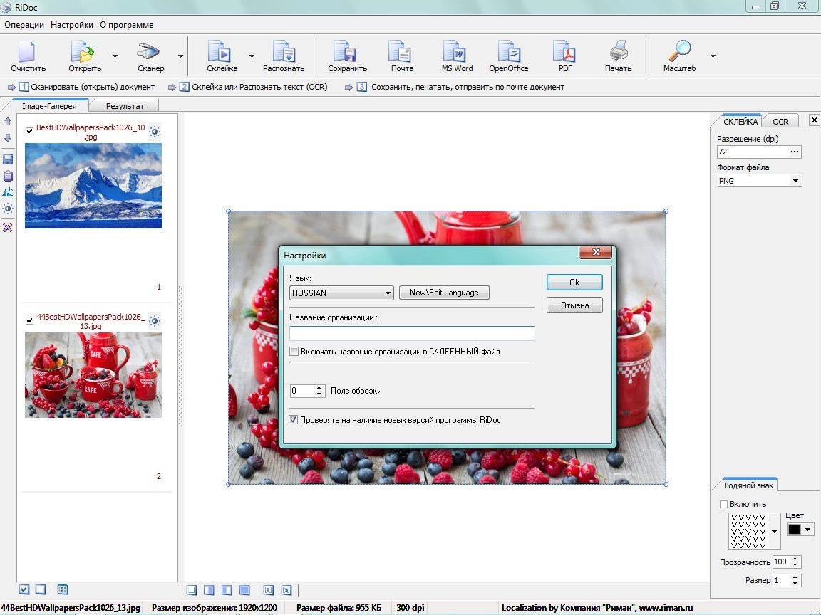 Aktivatsiya Ridoc 4.3.5.1.webp