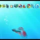 Aktivatsiya Rocketdock 1.3.5 Repack By Djaday.webp