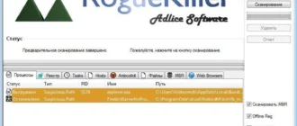 Aktivatsiya Roguekiller 9.2.4.0 Portable.webp
