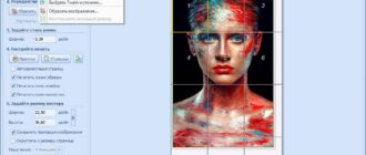 Aktivatsiya Ronyasoft Poster Printer 3.02.02.jpg