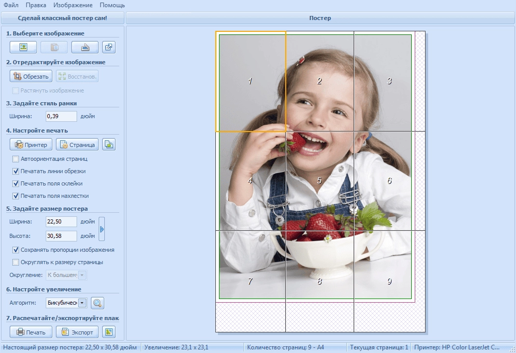 Aktivatsiya Ronyasoft Poster Printer 3.2.17 Repack By Zvsrus.webp