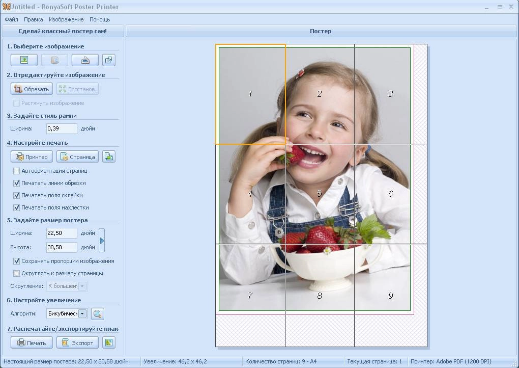 Aktivatsiya Ronyasoft Poster Printer 3.2.8 Repack By Foxtrot.webp