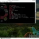 Aktivatsiya Runtu 18.04 Xfce 1xdvd.webp