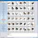 Aktivatsiya Rusifikator Realtime Landscaping Architect 18.03.webp