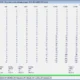 Aktivatsiya Siv 5.08 Portable.webp