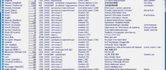 Aktivatsiya Siv 5.13 Portable.webp
