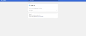 Aktivatsiya Srware Iron 126.0.6400.0 Portable.webp