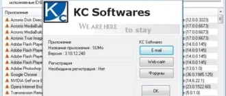 Aktivatsiya Sumo 3.10.12.240 Portable.webp