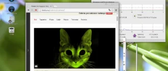 Aktivatsiya Sabayon 15.11 5xdvd.webp