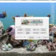Aktivatsiya Serenescreen Marine Aquarium 3.3.6381 Repack By Elchupacabra.webp