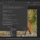 Aktivatsiya Serif Affinity Photo 2.5.5.2636 Portable By 7997.webp