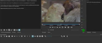 Aktivatsiya Shotcut 24.08.29 Portable By 7997.webp
