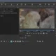 Aktivatsiya Shotcut 24.08.29 Portable By 7997.webp