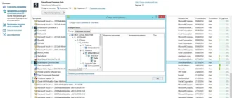 Aktivatsiya Soft Organizer 3.51 Final Repack By Dakov.webp