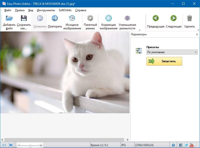 Aktivatsiya Softorbits Easy Photo Unblur 1.3 Repack By Vovava.webp