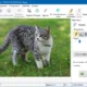 Aktivatsiya Softorbits Photo Retoucher 4.1 Repack By Vovava.webp