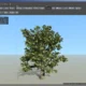 Aktivatsiya Speedtree Cinema V8.4.2 Game Engines Ue4unityindie V8.4.2clarisse V8.4.1.webp