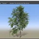 Aktivatsiya Speedtree Modeler V9.1.1 Cinema Edition Win X64.webp