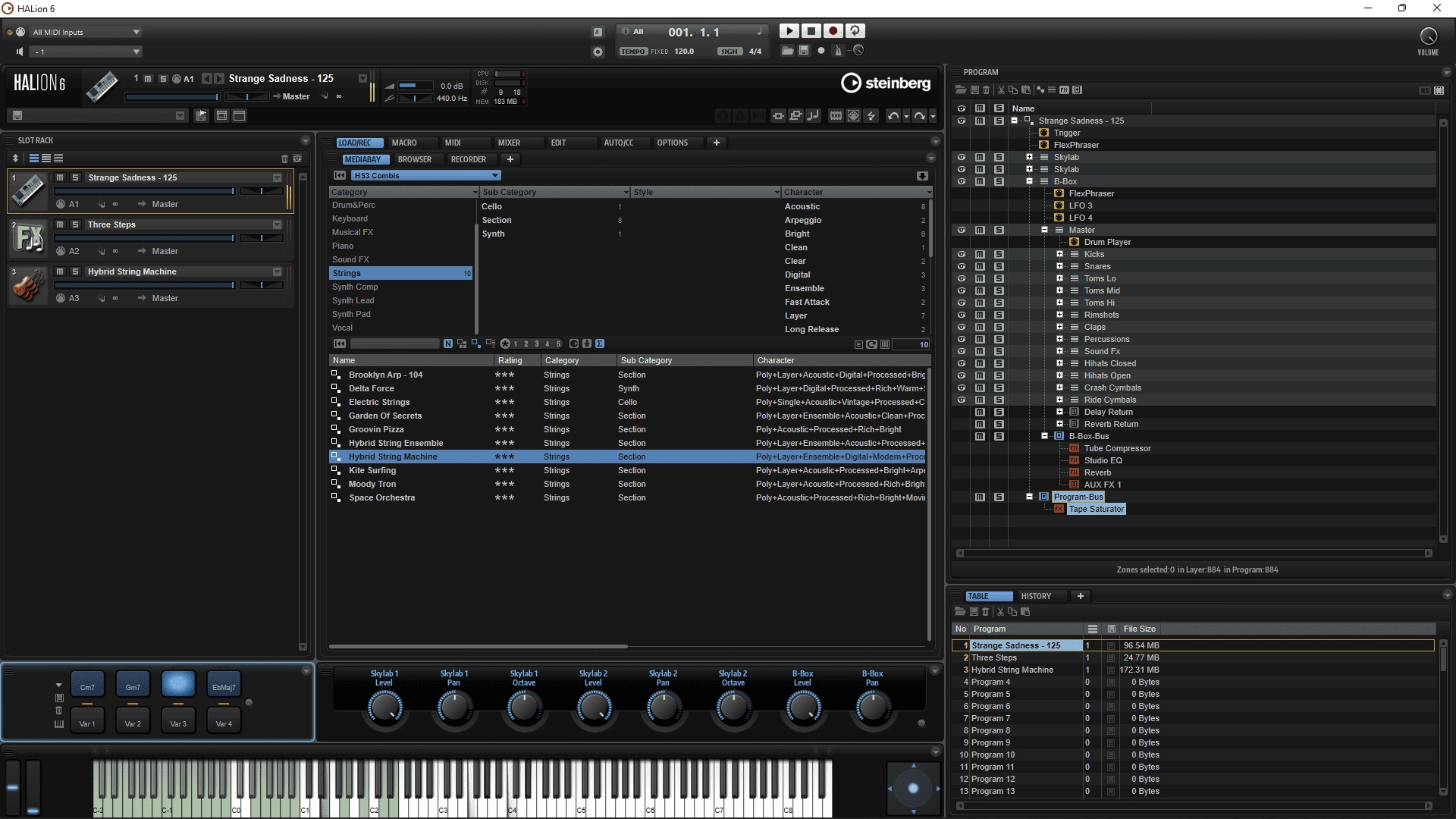 Aktivatsiya Steinberg Halion 6 V6.4.30 Standalone Vsti Vsti3 Aax Content.webp