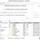 Aktivatsiya Stellar Phoenix Windows Data Recovery Pro 7.0.0.3 Repack By 78sergey.webp