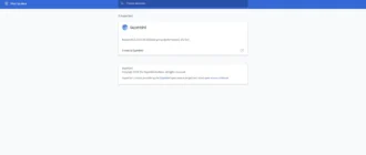 Aktivatsiya Superbird 69.0.3497.92 Portable.webp