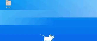 Aktivatsiya Systemrescuecd 6.1.6 2xcd.webp