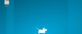 Aktivatsiya Systemrescuecd 8.0.2 2xcd.webp