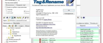 Aktivatsiya Tagrename 3.9.9 Final Repack By Trovel.webp