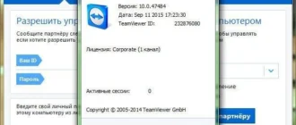 Aktivatsiya Teamviewer Corporate 10.0.47484 Portable.webp