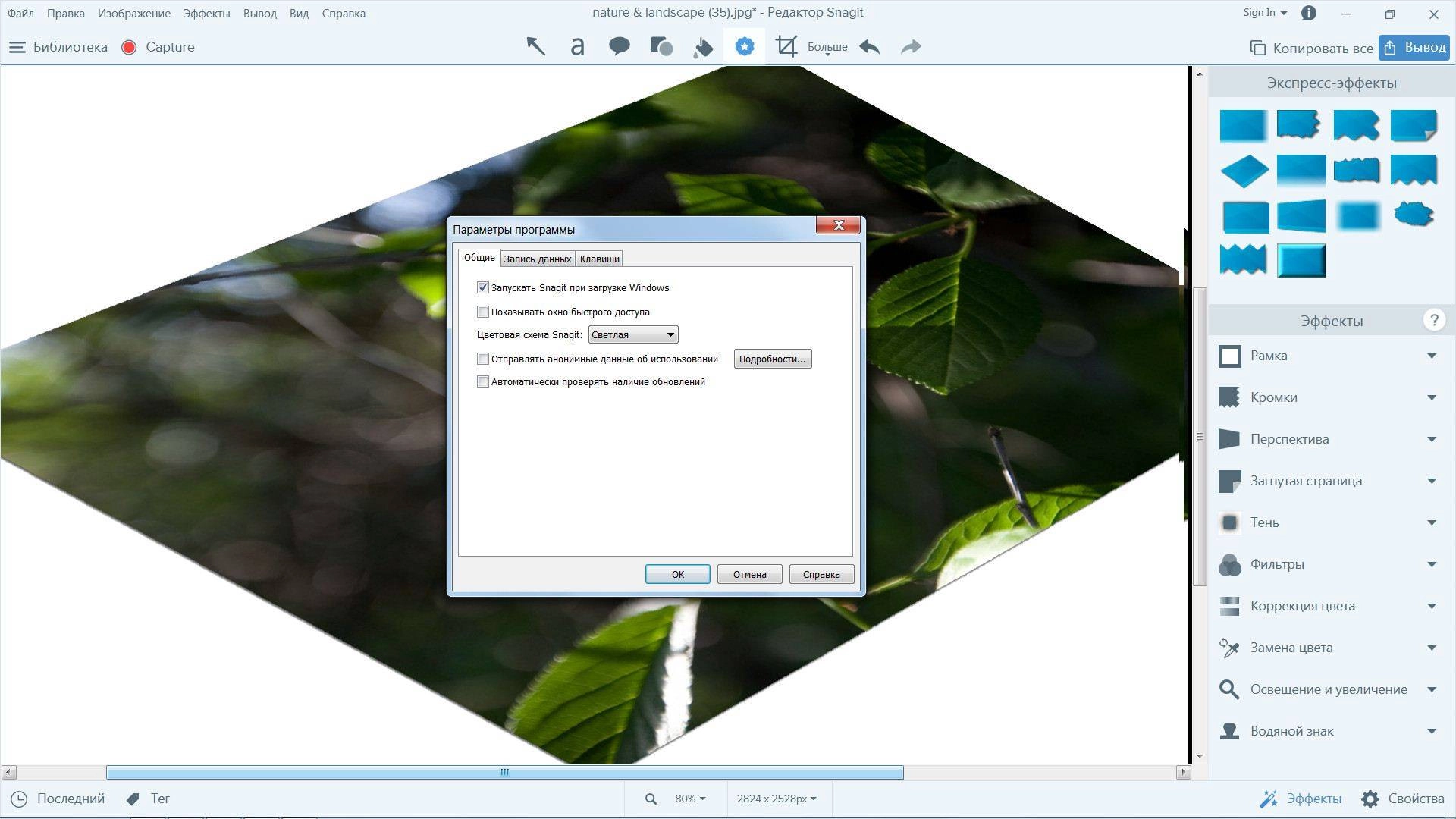 Aktivatsiya Techsmith Snagit 13.0.1 Build 6326 Repack By Dakov.webp