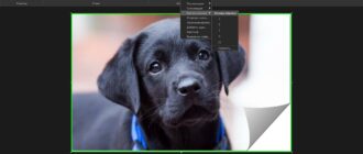 Aktivatsiya Techsmith Snagit 12.2.0 Build 1656 Repack By Kpojiuk.jpg