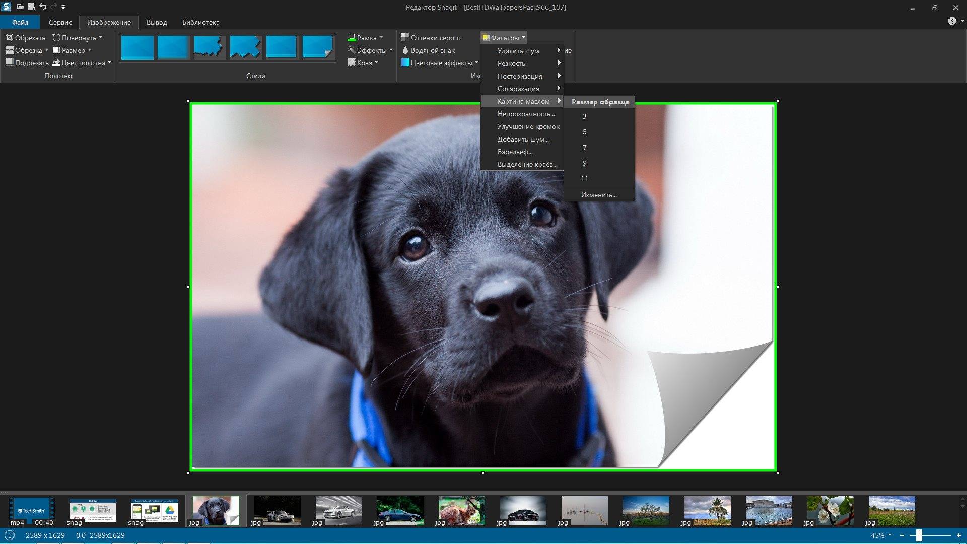 Aktivatsiya Techsmith Snagit 12.2.0 Build 1656 Repack By Kpojiuk.jpg