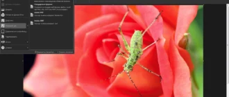 Aktivatsiya Techsmith Snagit 12.2.1.webp