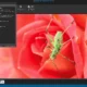Aktivatsiya Techsmith Snagit 12.2.1.webp