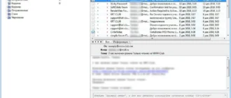 Aktivatsiya The Bat Professional 8.7.0.webp