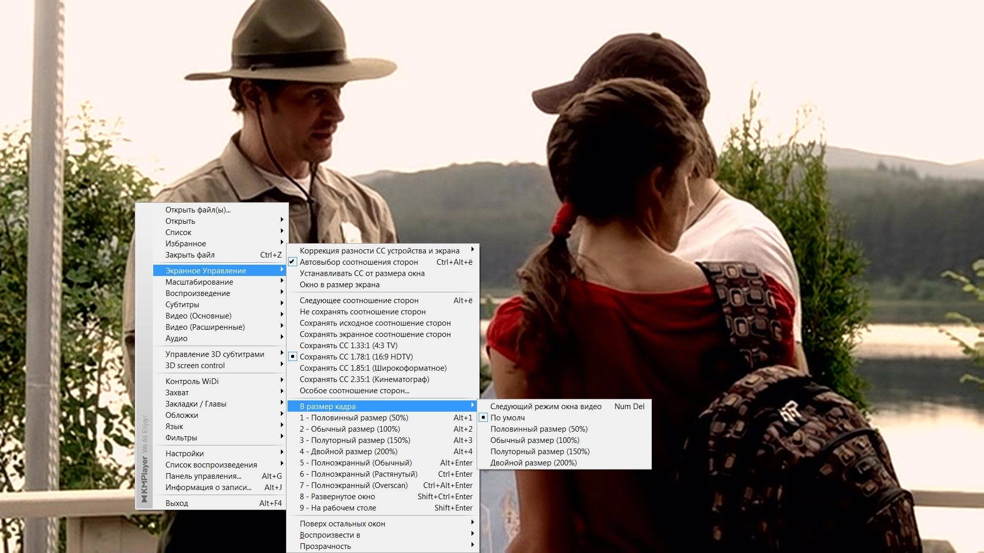 Aktivatsiya The Kmplayer 3.9.1.130 Final Repack By Dakov.webp