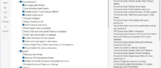 Aktivatsiya Thisiswin11 1.5.0.webp