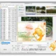 Aktivatsiya Timetophoto 2.6.4591.webp