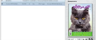 Aktivatsiya Tipard Pdf Converter Platinum 3.3.12 Repack By Vovava.webp