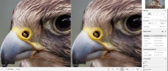 Aktivatsiya Topaz Gigapixel Ai 8.0.4 Beta.webp