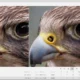 Aktivatsiya Topaz Gigapixel Ai 8.0.4 Beta.webp