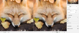 Aktivatsiya Topaz Gigapixel Ai Pro 8.3.3 Repack By Kpojiuk.webp